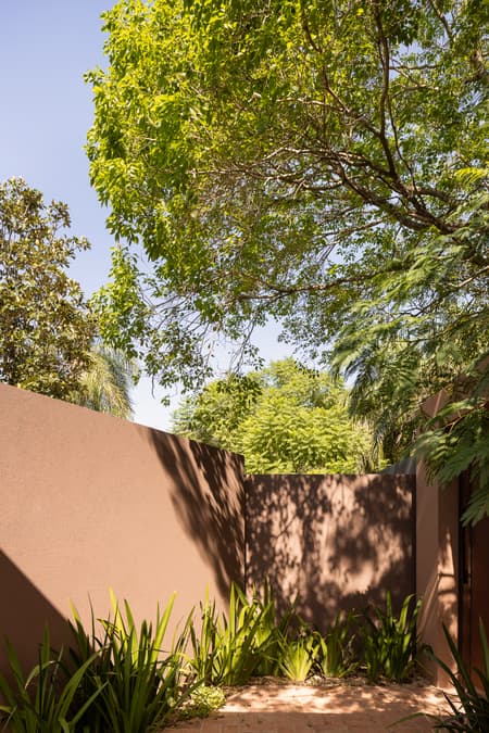 House around the Tree